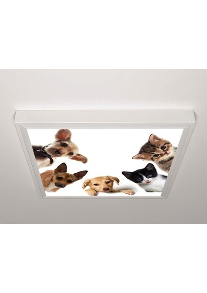 60X60 LED Panel Sıva Üstü Desenli Tekli 46511101SU
