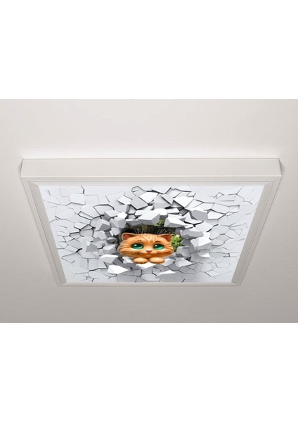 60X60 LED Panel Sıva Üstü Desenli Tekli 46511096SU