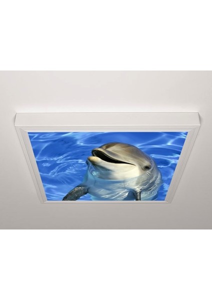 60X60 LED Panel Sıva Üstü Desenli Tekli 46511102SU
