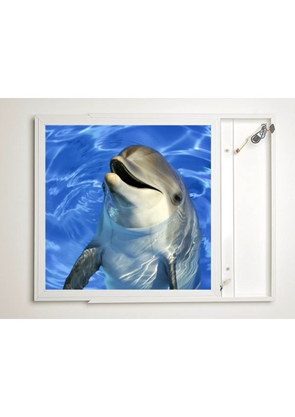 60X60 LED Panel Sıva Üstü Desenli Tekli 46511102SU