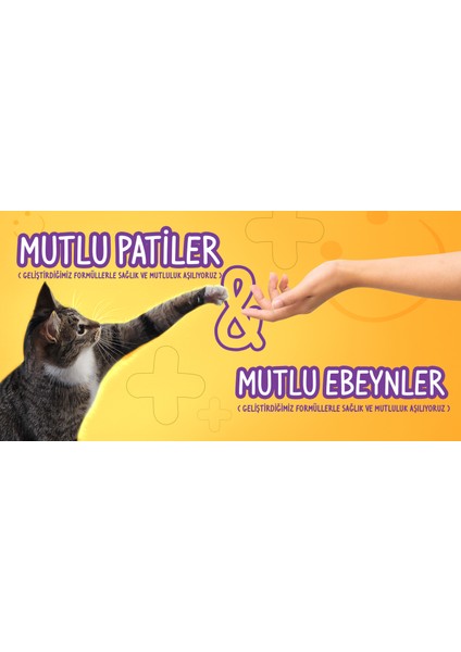 Relax Paste 100 gr Sakinleştirici Stres Azaltıcı Rahatlatıcı Calming Support