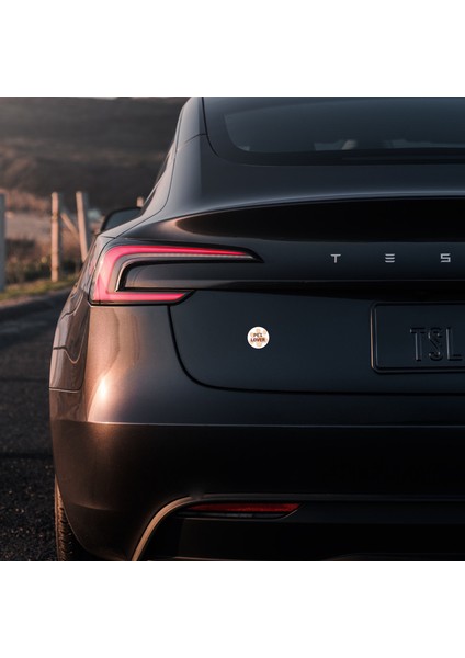 Pet Lover - 5x5 cm Mıknatıslı Evrensel Tak Çıkar Dekoratif Aksesuar fiyatları