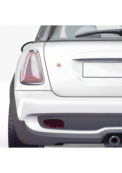 Pet Lover - 5x5 cm Mıknatıslı Evrensel Tak Çıkar Dekoratif Aksesuar modelleri