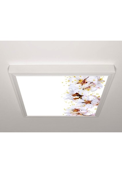 60X60 LED Panel Sıva Üstü Desenli Tekli 46511120SU