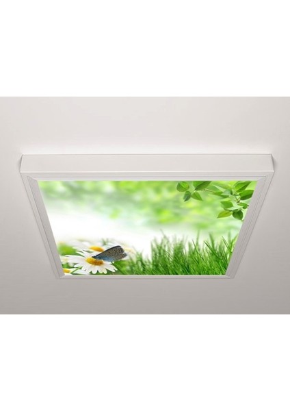 60X60 LED Panel Sıva Üstü Desenli Tekli 46511123SU