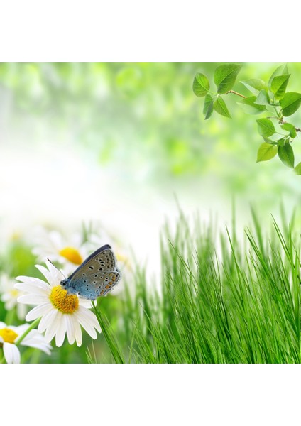 60X60 LED Panel Sıva Üstü Desenli Tekli 46511123SU modelleri