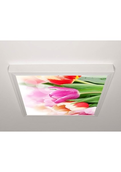 60X60 LED Panel Aydınlatma Armatür Avize Sıva Üstü Desenli Tekli 46511112SU