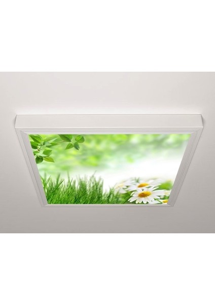 60X60 LED Panel Sıva Üstü Desenli Tekli 46511125SU
