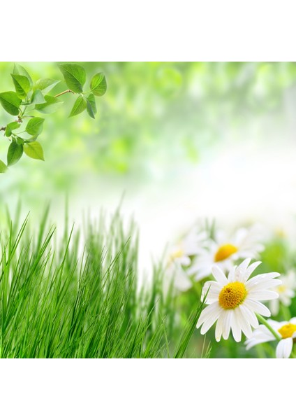 60X60 LED Panel Sıva Üstü Desenli Tekli 46511125SU modelleri