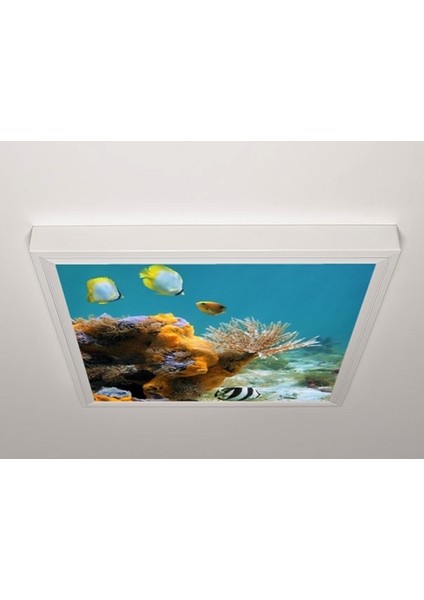 60X60 LED Panel Sıva Üstü Desenli Tekli 46511103SU