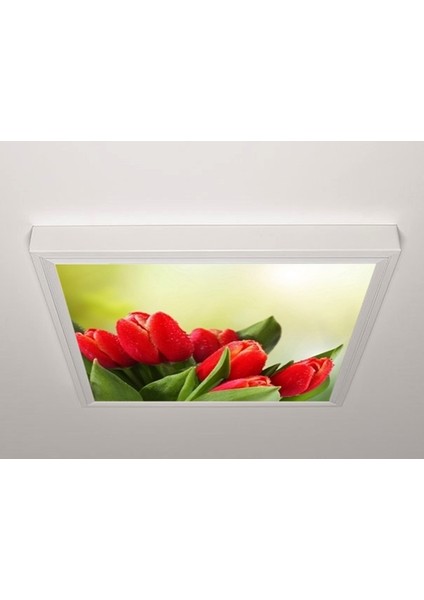 60X60 LED Panel Sıva Üstü Desenli Tekli 46511107SU