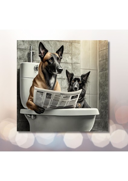 Tekli Kare Kanvas Banyo Tablosu Gazete Okuyan Belçika Kurt Köpeği modelleri