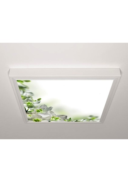 60X60 LED Panel Sıva Üstü Desenli Tekli 46511136SU