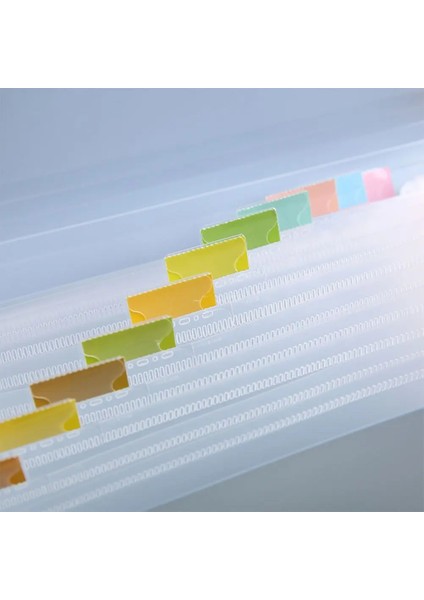 Mor Tarzı Plastocket Akordeon Dosya Düzenleyici Genişleyen Dosya Klasörü Depolama Klasörü Genişletilebilir Belge Düzenleyici Fatura Makbuzunu Kontrol Edin (Yurt Dışından) indirimleri