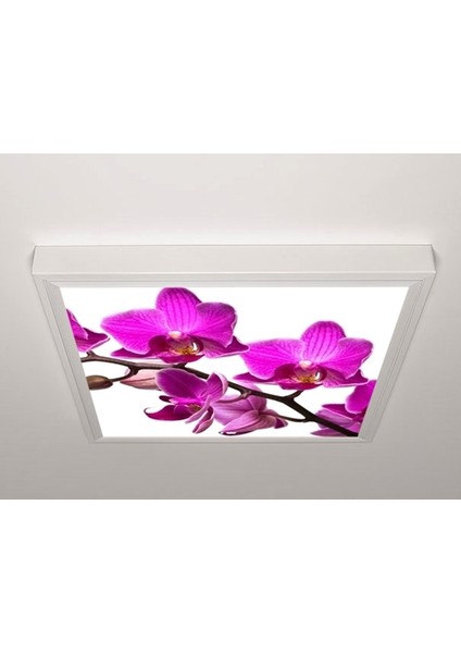 60X60 LED Panel Sıva Üstü Desenli Tekli 46510721SU