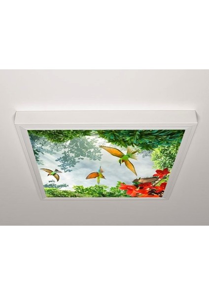 60X60 LED Panel Sıva Üstü Desenli Tekli 46510810SU