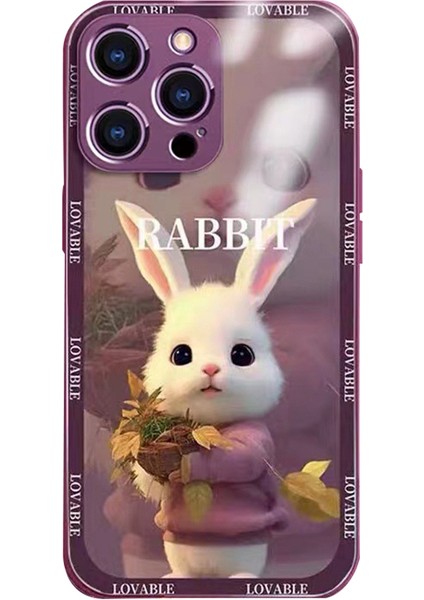 iPhone 15 Pro Max Telefon Kılıfı (Yurt Dışından)