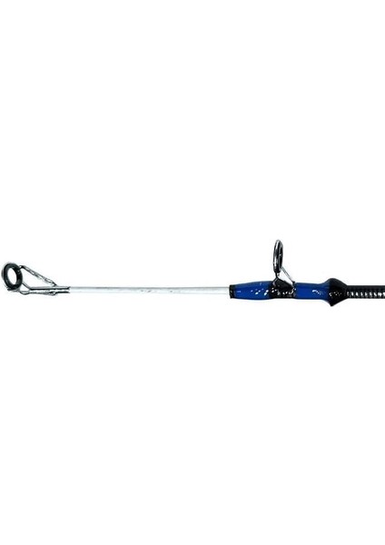 Dft Electra Surf Kamışı 200 G 390 cm fiyatları