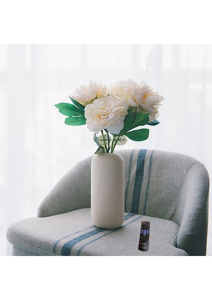 N2QAYB000736 Blu-Ray Oynatıcı Için Uzaktan Kumanda Uzaktan Kumanda DMPBD75GN DMPBD77GNK (Yurt Dışından) indirimleri