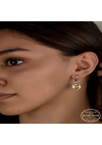 Swarovski Crystal Taşlı Gümüş Beyaz Sallantılı Kadın Küpe fiyatları