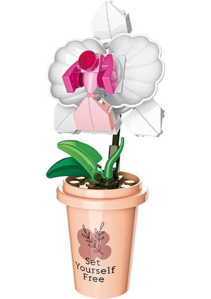 Saksı Bitkileri Vazo Fincan Succulents Kaktüs Gypsophila Dağ Lotus Süslemeleri Yapı Taşları Modeli Tuğla Setleri Kitleri Oyuncaklar (Yurt Dışından)
