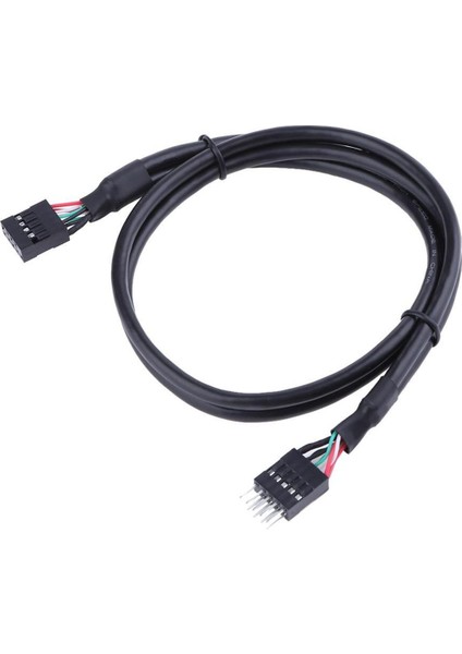 USB 2.0 9 Pin Erkek 9 Pin Dişi Adaptör Uzatma Kablosu Usb2.0 9pin M/f Çoğaltıcı Uzatma Kablosu Tel Hattı 50 Cm/19.68'' (Yurt Dışından)
