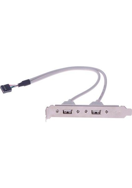 1 Adet 2 Port Usb2.0 Arka Panel Genişletme Braketi - Anakart USB Başlık Adaptörü (Yurt Dışından)