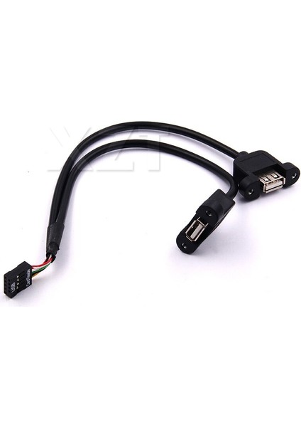 1 Adet 30 cm Anakart Dahili 9pin Pitch 2.54MM Çift Bağlantı Noktalı USB 2.0 A Dişi Vida Kilit Panel Montaj Kablosu (Yurt Dışından)