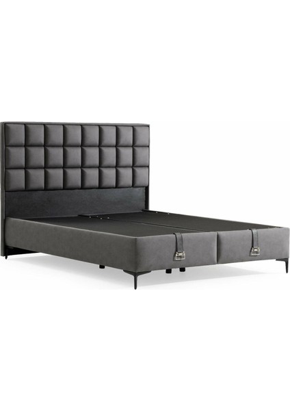 Iola Bedding Abella Baza Başlık Seti 100X200