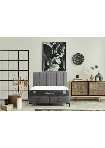 Iola Bedding Leonora Baza Başlık Yatak Seti 100X200