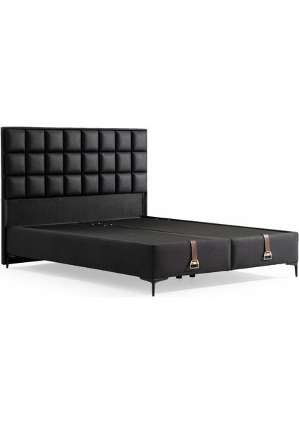 Iola Bedding Carine Baza Başlık Seti 100X200