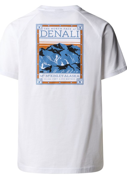 M S/s North Faces Tee Erkek T-Shirt NF0A87NUFN41 fiyatları