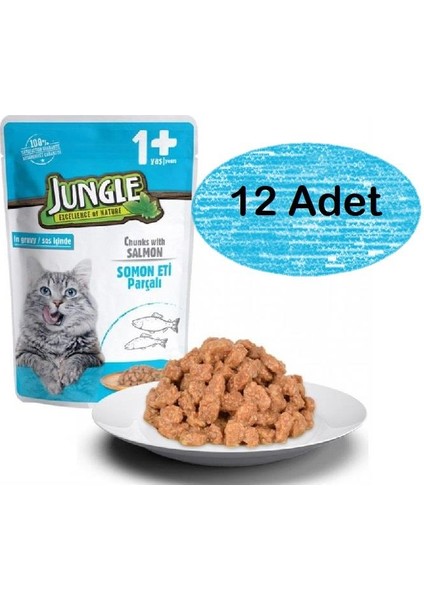 12 Adet Pouch Somon Parçalı Yetişkin Kedi Konservesi 100gr