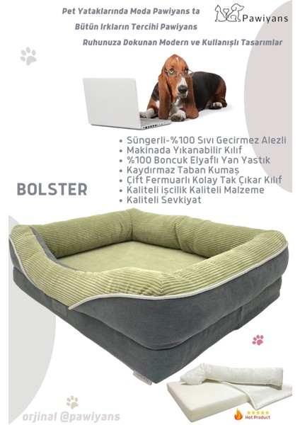 Bolster Üst Kalite Köpek Yatağı 6,5 ve 10 cm Süngerli Kılıflı Sıvı Geçirmez Alezli 2 Fermuarlı