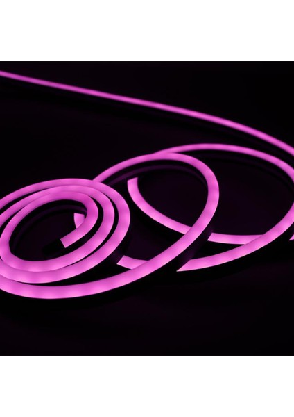 Pink Neon LED 4 Watt / 300 Lm - 2 M