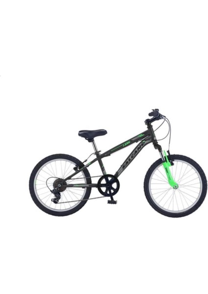 Lion 20 Jant Vitesli Erkek Çocuk Bisikleti (120-145 cm Boy)