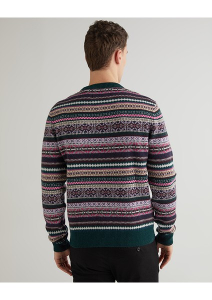 Erkek Yeşil Regular Fit Bisiklet Yaka Desenli Kazak 8060073.374 fiyatları