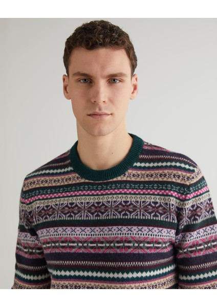 Erkek Yeşil Regular Fit Bisiklet Yaka Desenli Kazak 8060073.374 fırsatları