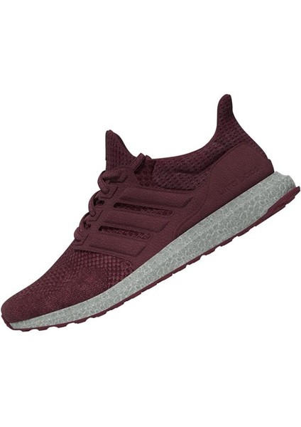 ULTRABOOST 1.0 W Kadın Koşu Ayakkabı ID9676