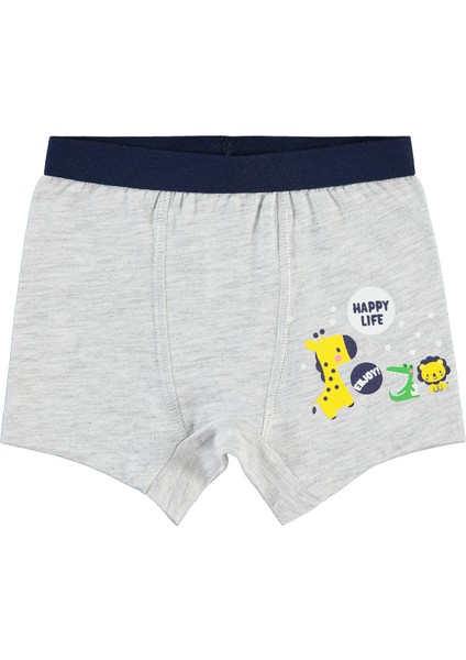 Erkek Bebek Boxer 98 Ay Gri