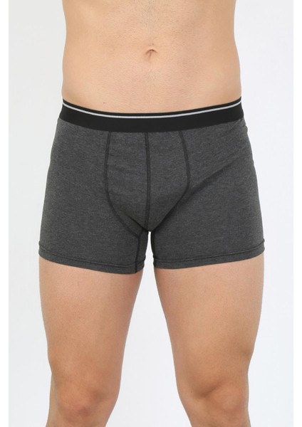 Erkek Pamuk Likralı Antrasit 40133 fiyatları