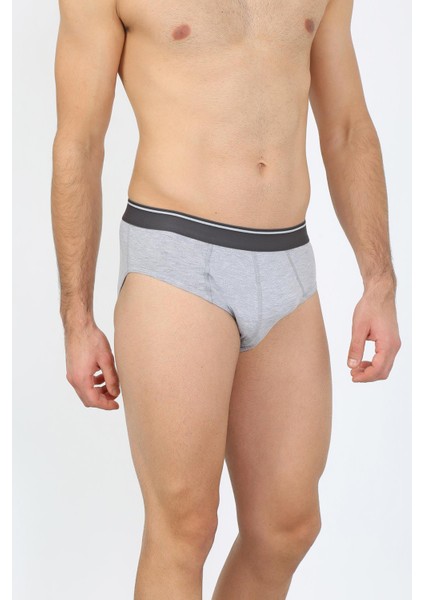 Erkek Pamuk Likralı Slip Gri 40132 modelleri