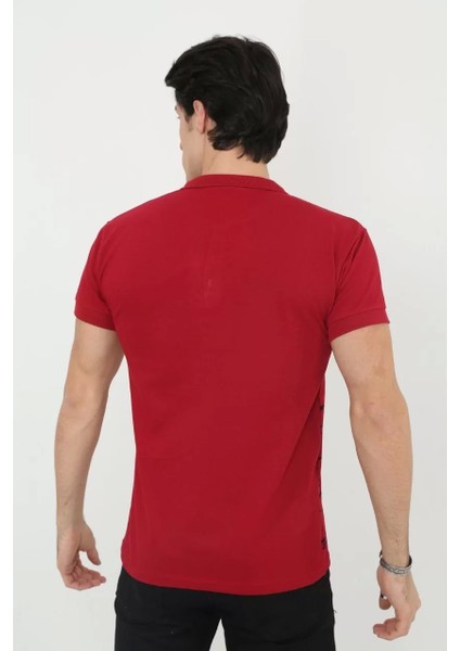 Erkek Yakalı Slim Fit Pike Çizgili T-Shirt - Kırmızı