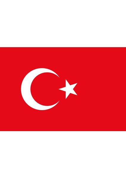 Türk Bayrağı Temalı Etiket (4X6CM 24 Adet)