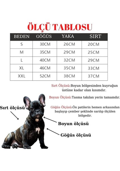 Köpek Göğüs tasması Koşu Takımı Dörtlü set BuShop M Kahverengi