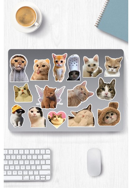 Kedi Temalı Sticker Etiket Seti - Cat Sticker - Laptop Notebook Telefon