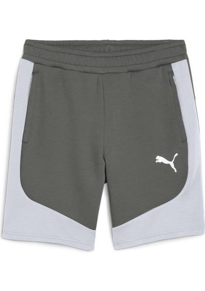 Evostripe Shorts Erkek Şort