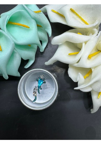 Yüz Taşı Face Gems Yapışkan Burun Parmak Hızma MODEL36