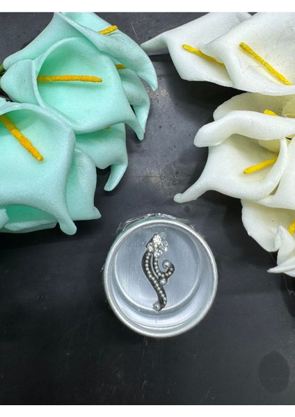 Yüz Taşı Face Gems Yapışkan Burun Parmak Hızma MODEL22