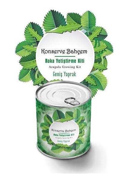 Kick Shop Buffer® Konserve Bahçem Evde Konservede Iri Yapraklı Roka Yetiştirme Kiti